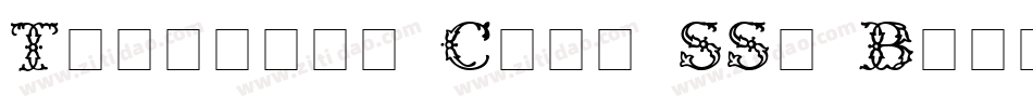Template Caps SSi Bold字体转换